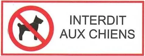 camping interdit aux chiens